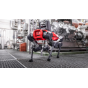 ANYbotics logo