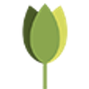 Wohnheim Baumgarten logo